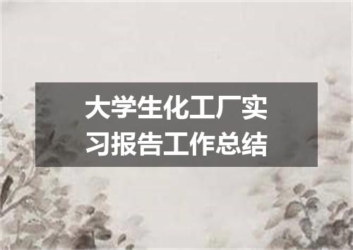 大学生化工厂实习报告工作总结