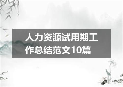 人力资源试用期工作总结范文10篇