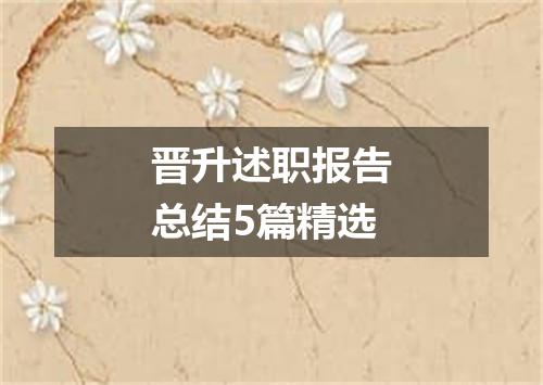 晋升述职报告总结5篇精选