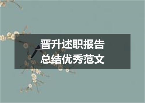 晋升述职报告总结优秀范文
