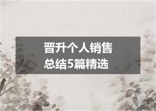 晋升个人销售总结5篇精选