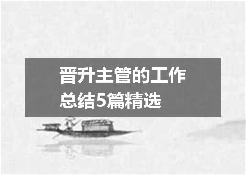 晋升主管的工作总结5篇精选
