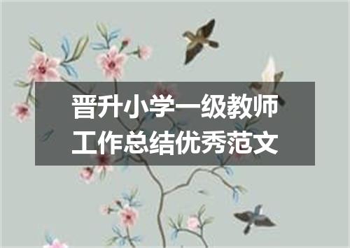 晋升小学一级教师工作总结优秀范文