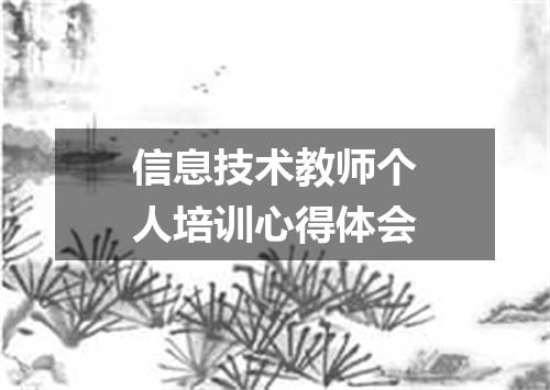 信息技术教师个人培训心得体会