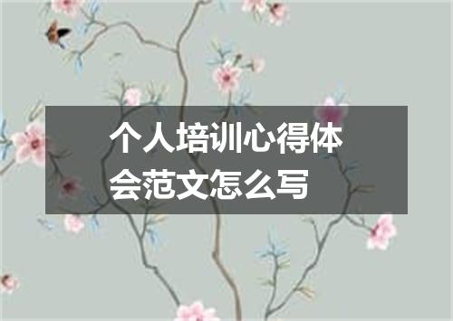 个人培训心得体会范文怎么写