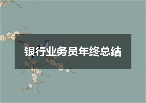 银行业务员年终总结