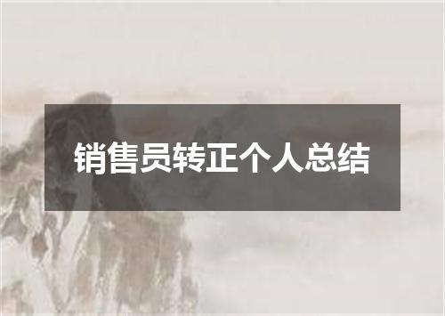 销售员转正个人总结
