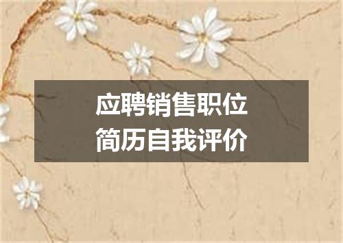 应聘销售职位简历自我评价