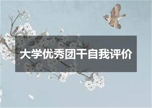 大学优秀团干自我评价