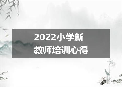 2022小学新教师培训心得
