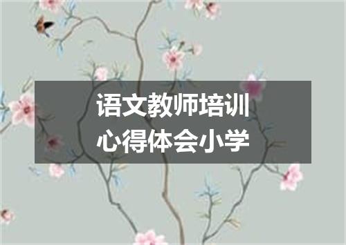 语文教师培训心得体会小学