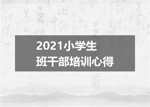 2021小学生班干部培训心得