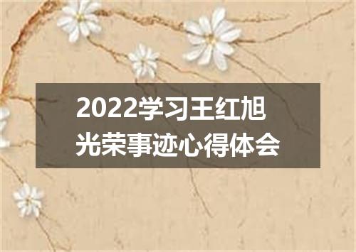 2022学习王红旭光荣事迹心得体会