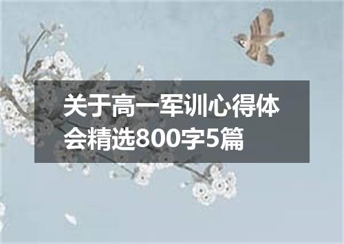 关于高一军训心得体会精选800字5篇