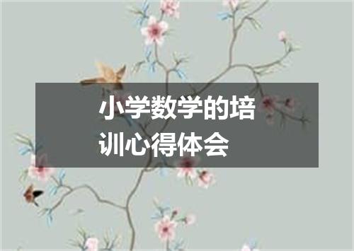 小学数学的培训心得体会