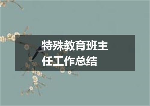 特殊教育班主任工作总结