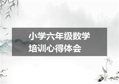 小学六年级数学培训心得体会