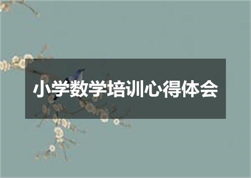 小学数学培训心得体会