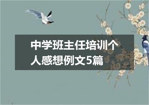 中学班主任培训个人感想例文5篇