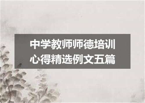 中学教师师德培训心得精选例文五篇