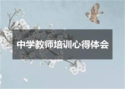 中学教师培训心得体会