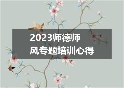 2023师德师风专题培训心得