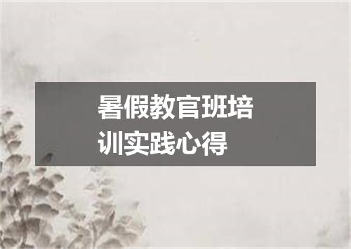 暑假教官班培训实践心得