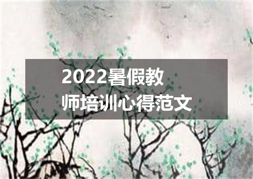 2022暑假教师培训心得范文