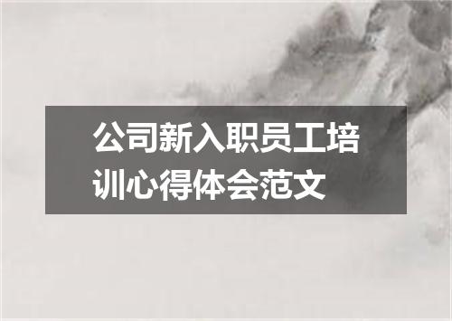 公司新入职员工培训心得体会范文