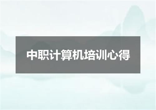 中职计算机培训心得
