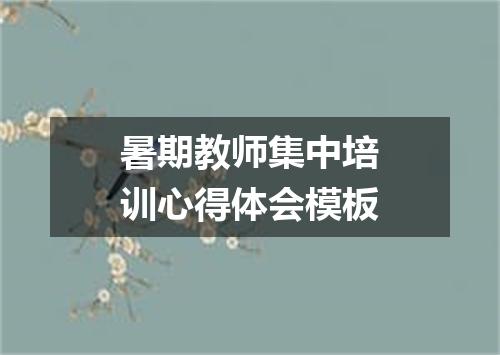 暑期教师集中培训心得体会模板