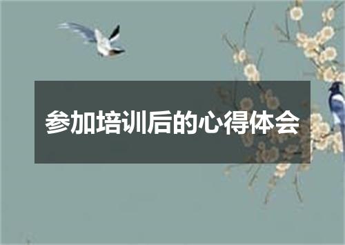 参加培训后的心得体会