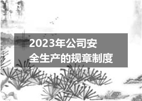 2023年公司安全生产的规章制度
