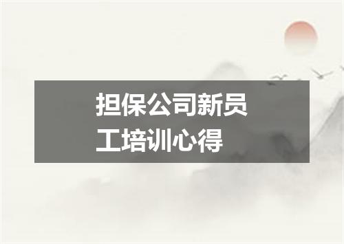 担保公司新员工培训心得