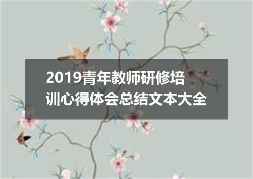 2019青年教师研修培训心得体会总结文本大全