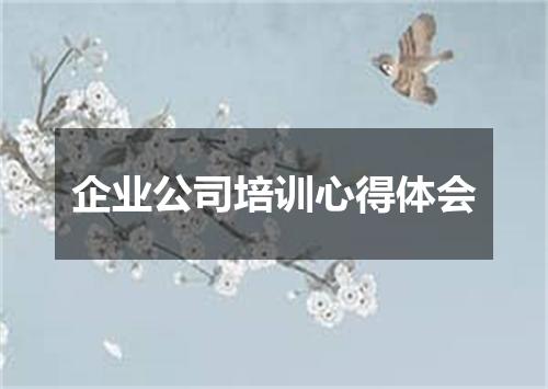 企业公司培训心得体会