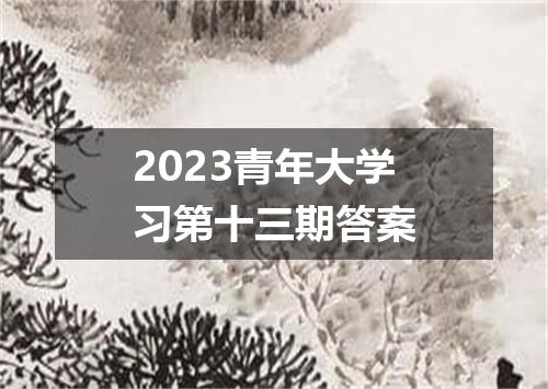 2023青年大学习第十三期答案