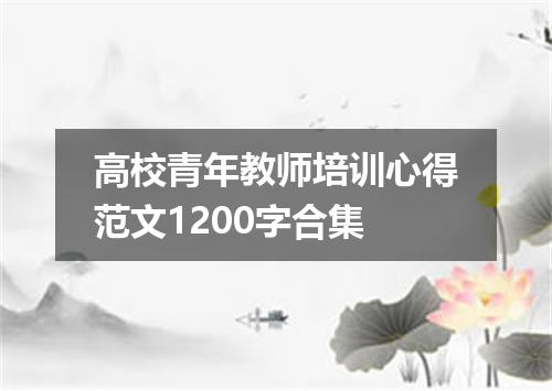 高校青年教师培训心得范文1200字合集
