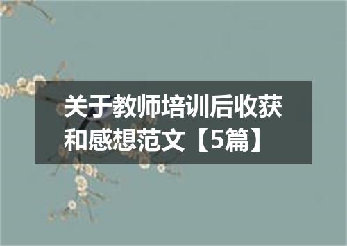 关于教师培训后收获和感想范文【5篇】