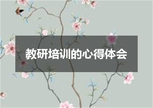 教研培训的心得体会