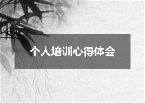 个人培训心得体会