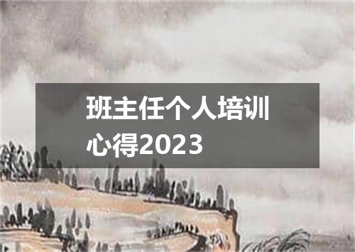 班主任个人培训心得2023