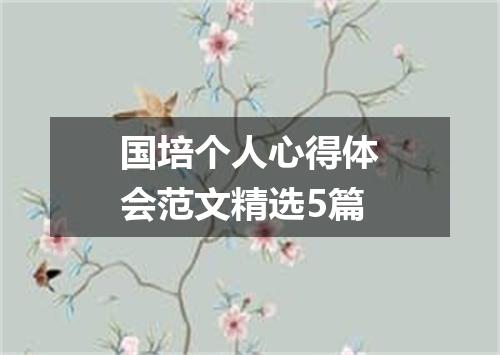 国培个人心得体会范文精选5篇