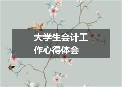 大学生会计工作心得体会