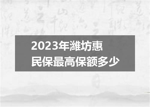2023年潍坊惠民保最高保额多少