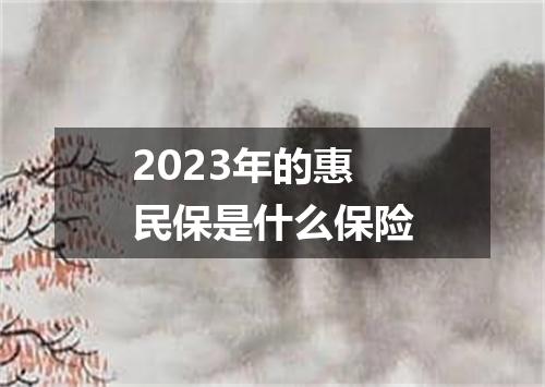 2023年的惠民保是什么保险