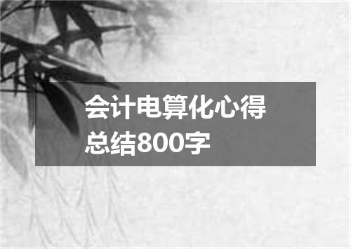 会计电算化心得总结800字