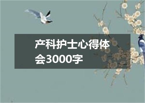 产科护士心得体会3000字