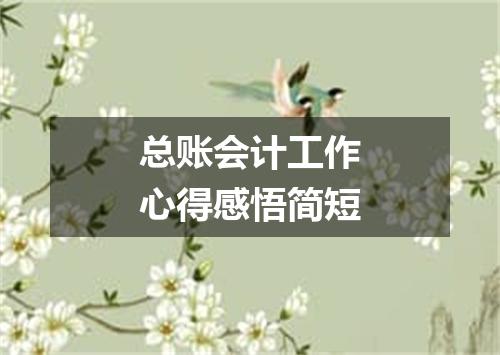 总账会计工作心得感悟简短