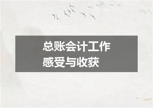 总账会计工作感受与收获